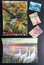 2  3D Lenticular Vintage postcards Toppanc1970- 80s birds + free kelloggs cards