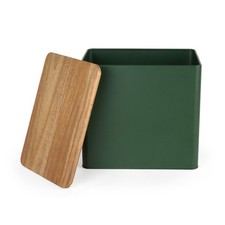 Salter Toronto Green Bread Bin