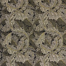 William Morris Heavyweight