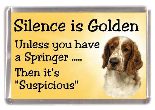 Welsh springer spaniel dog - springer,