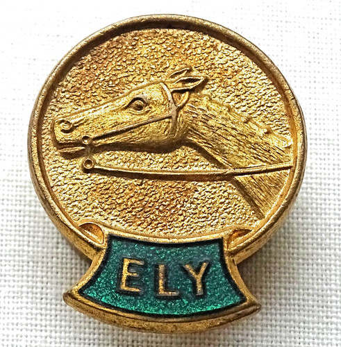 Vintage enamel badge - vintage,