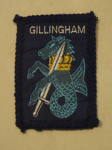 Gillingham district scout - gillingham,