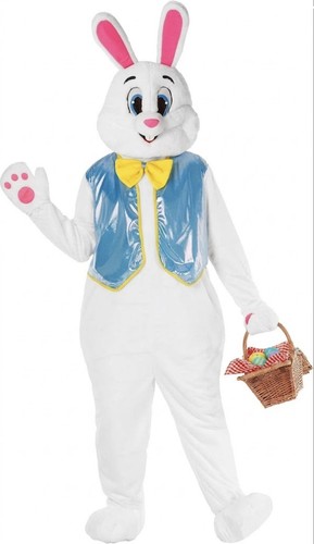 Easter bunny costume - easter,