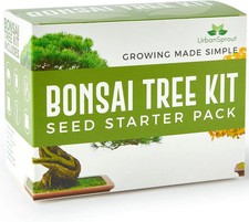 Bonsai Tree Kit - Grow Your