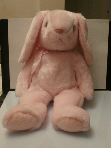 Beanie baby babies buddy - beanie,