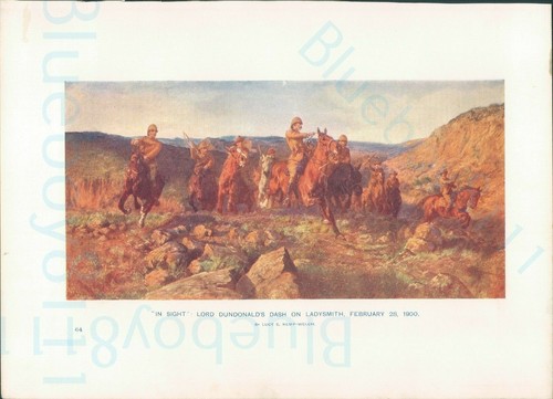 Edwardian print sight lord - edwardian, in
