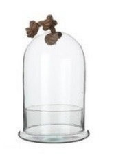 Glass Display Bell Dome Jar