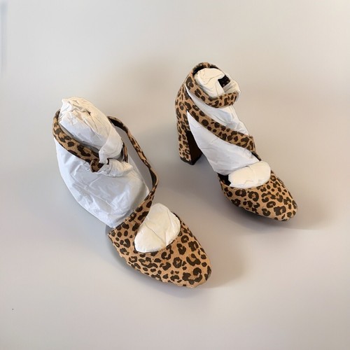 Next cheetah leopard animal - next,