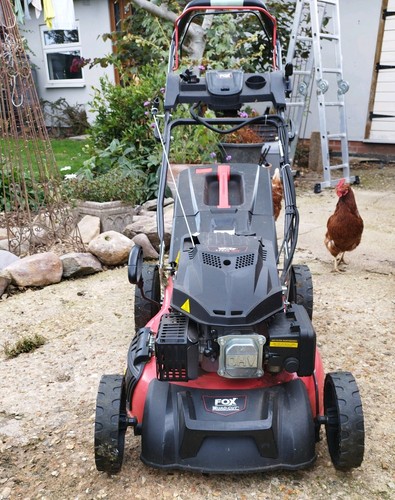 Fox electric start quad - electric, quad-cut