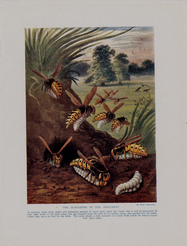 Vintage book print the - vintage,