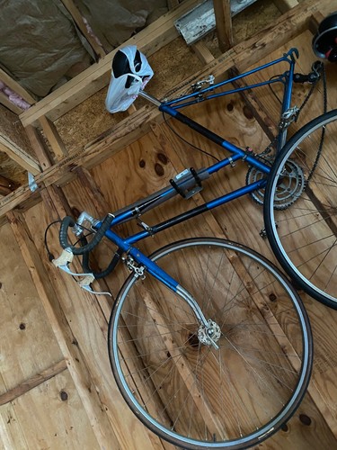 Raleigh bicycle vintage grand - raleigh,