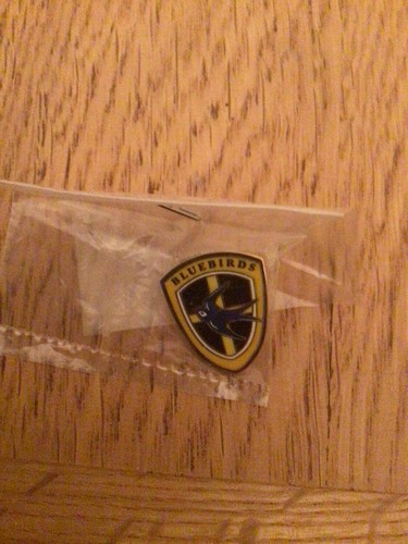 Cardiff city shield - cardiff,