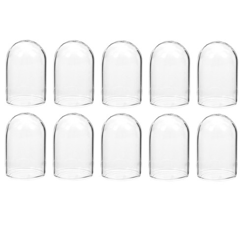 10pcs creative preserved - 10pcs,