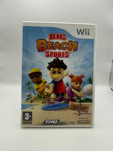 Big beach sports nintendo - beach,