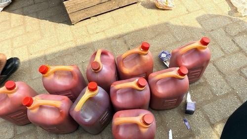 Palm oil - palm,