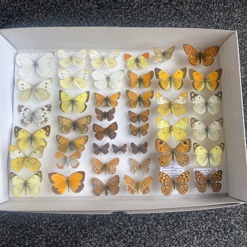 Collection european - ,