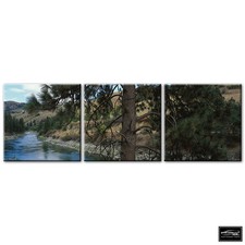 Landscapes Forest Stream   BOX