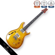 PRS DGT SemiHollow Limited