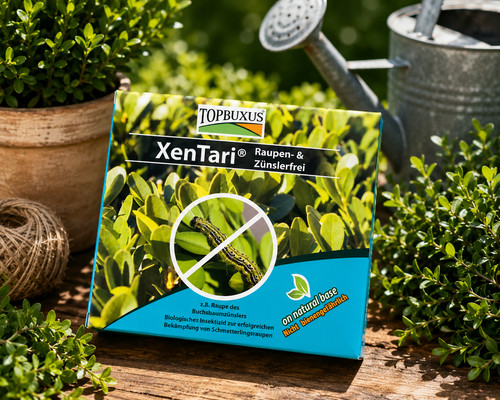 Xentari box garden - box,