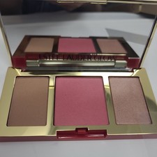 Estée Lauder Pure Colour Envy