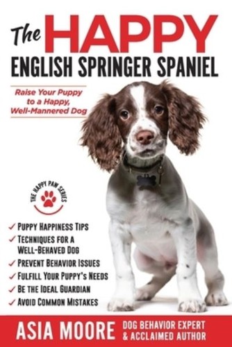 The happy english springer - happy,