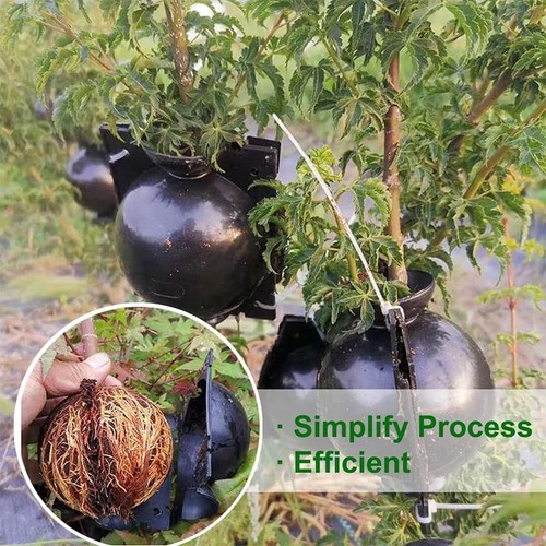 10pcs grafting box plant - grafting,
