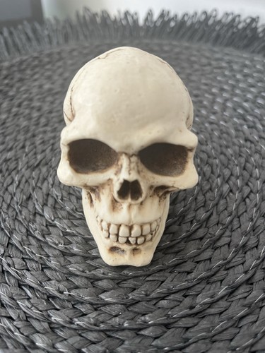 Resin skull shift knob - skull,