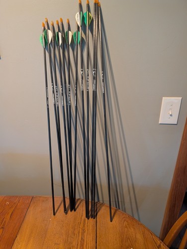 Target archery arrows - target,
