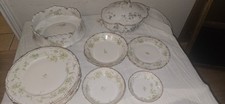 17 Piece Havilland Limoges