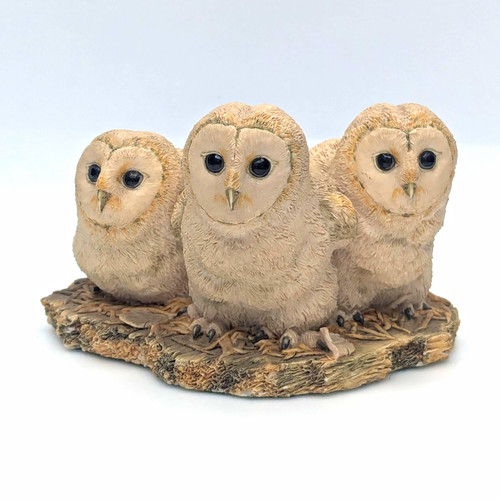 Border fine arts three owls - fine,