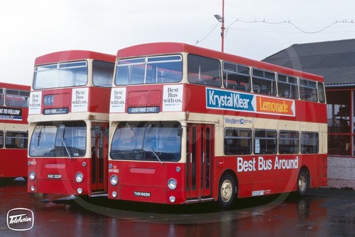 Bus photo western scottish - photo,