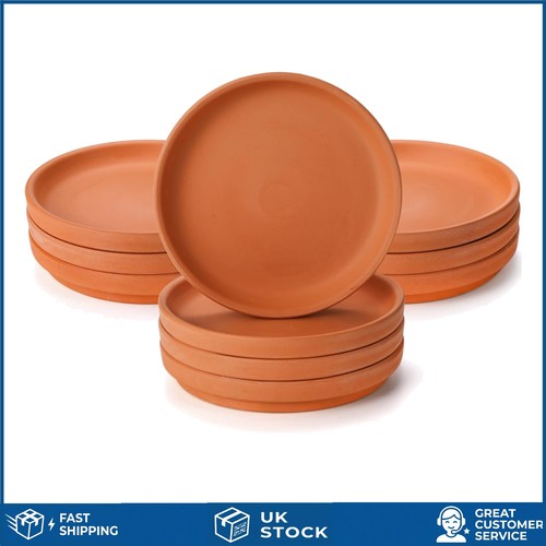 Elegant round terracotta plant - terracotta,