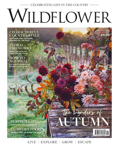 Wildflower magazine autumn - magazine, #27