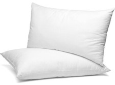 SM Decor Pillows 2Pack Soft