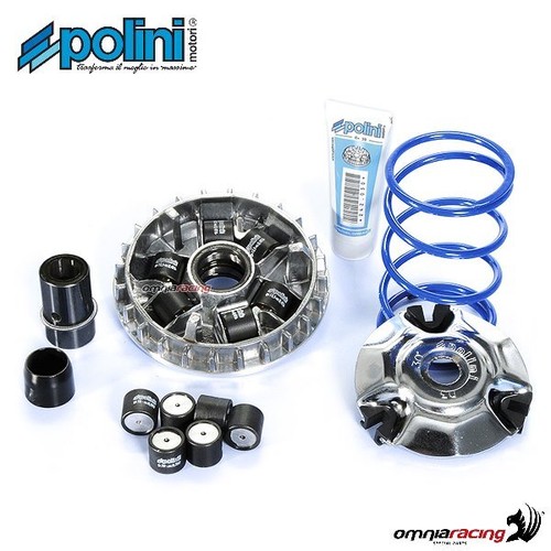 Polini speed variator - variator, for