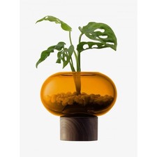 LSA Oblate Glass Vase With