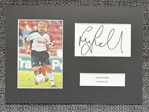 Lee trundle swansea city fc - swansea,