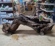 Sml/Med WIO Centurion Wood