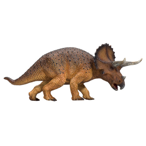 Mojo triceratops dinosaur - mojo,