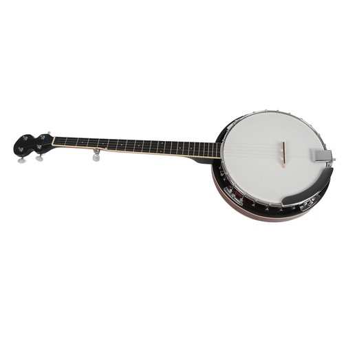 String banjo professional - banjo,