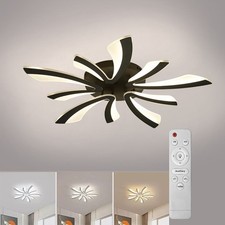 LED Ceiling Light with Remote