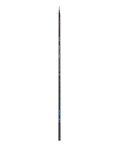 Fishing rod activa - activa, match