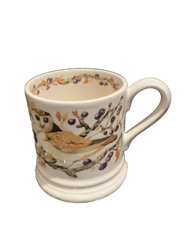 Emma bridgewater owl sloe - owl, in