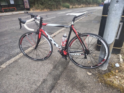 Moda prima road bike mens - bike, 56cm