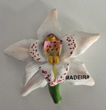 Fridge Magnet Madeira Portugal Cymbidium Orchid Flower