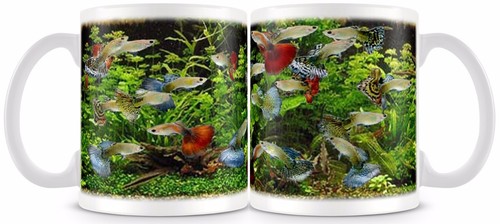 Guppytropical freshwater fish - guppytropical,
