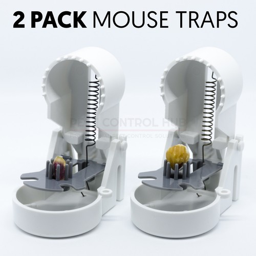 Mouse trap for mice - trap, rapid