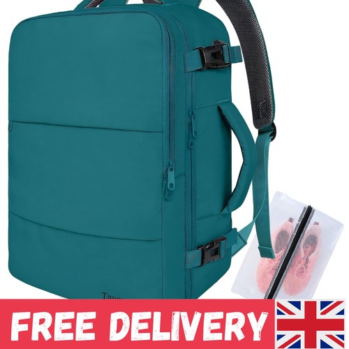 Peacock blue multi compartment - peacock, multi-compartment