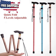 Walking Stick Trekking Poles