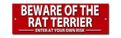 Beware the rat terrier - beware, of